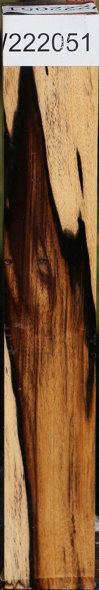 Black & White Ebony Turning Square