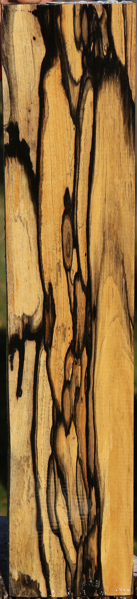 Rustic Black & White Ebony Lumber