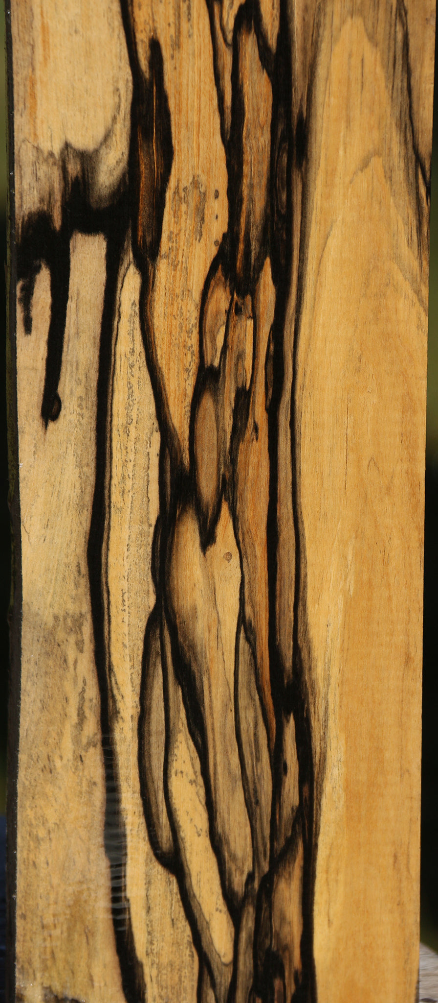 Rustic Black & White Ebony Lumber