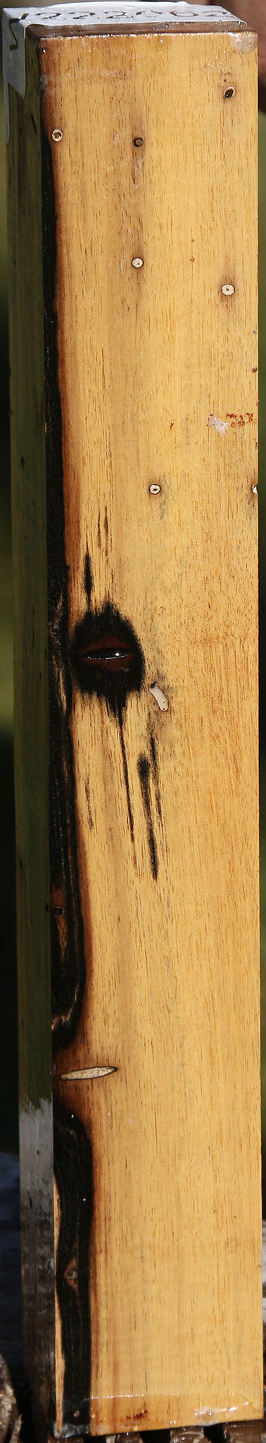 Black & White Ebony Turning Blank