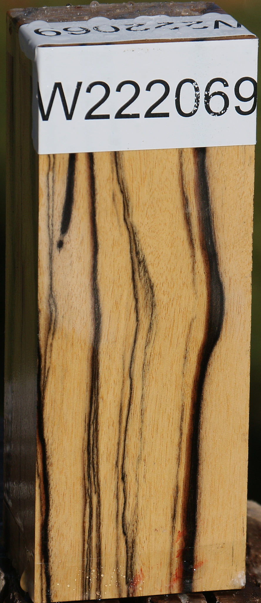 Black & White Ebony Turning Blank