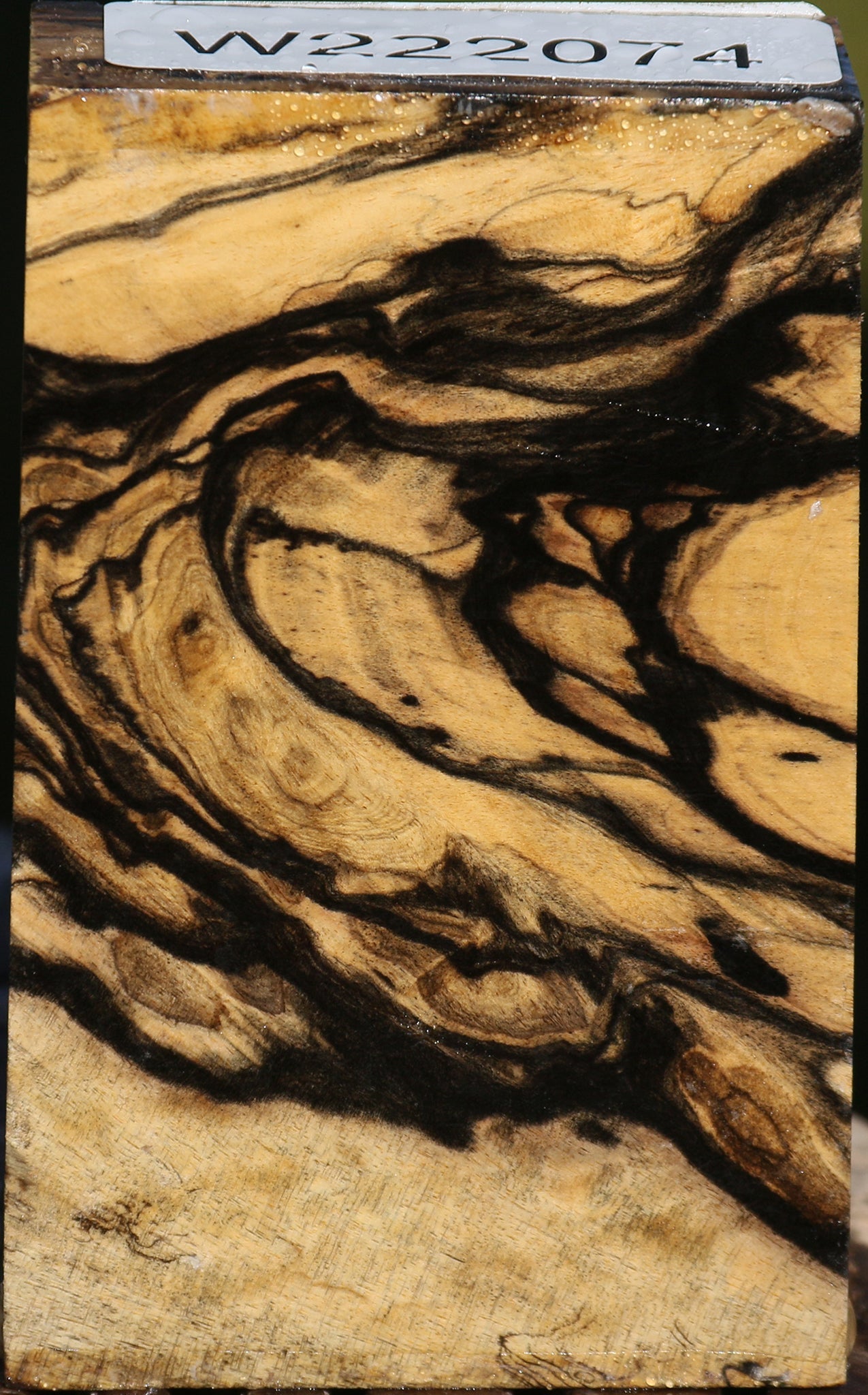 Black & White Ebony Lumber