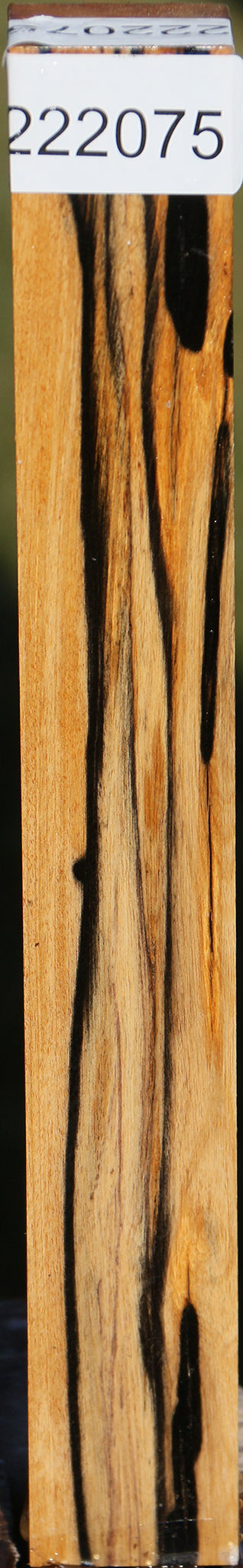 Black & White Ebony Turning Square