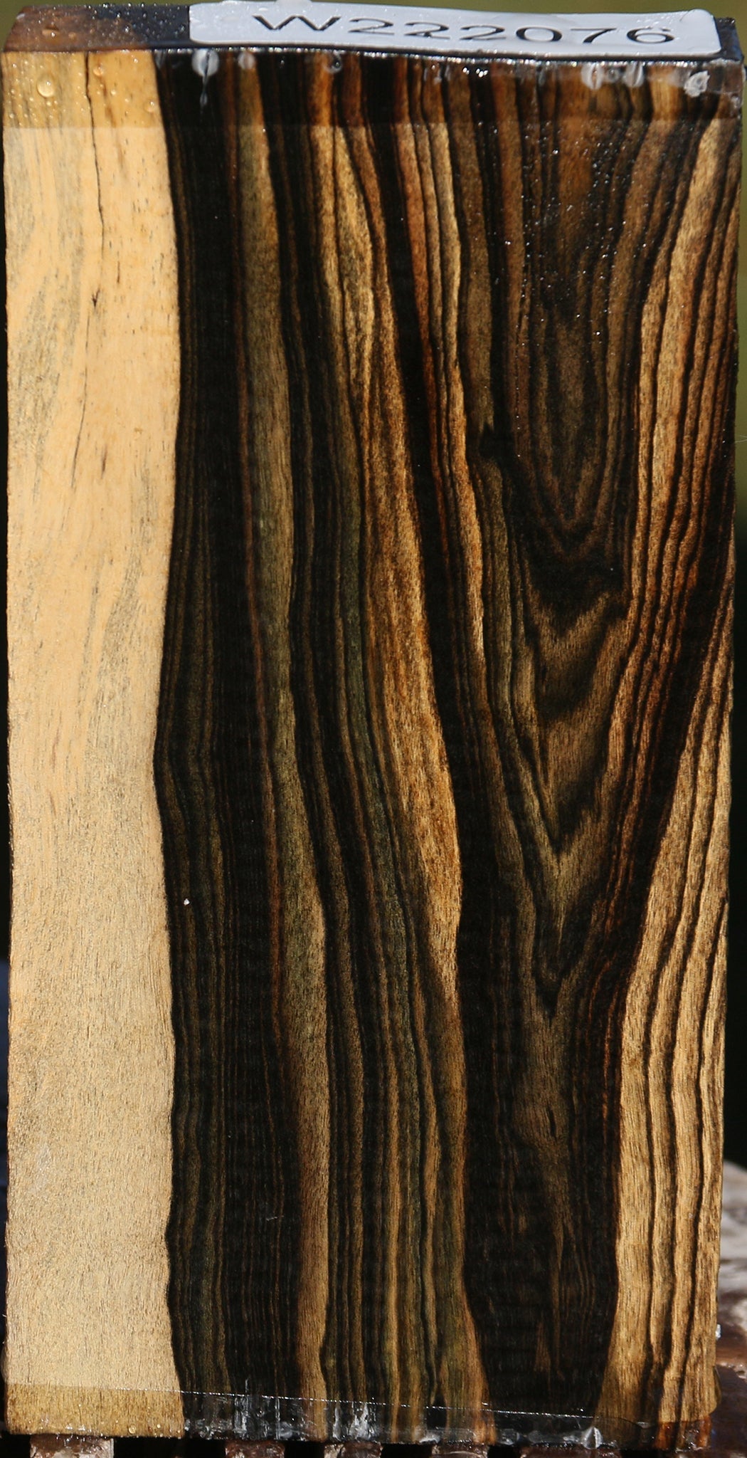 Black & White Ebony Lumber