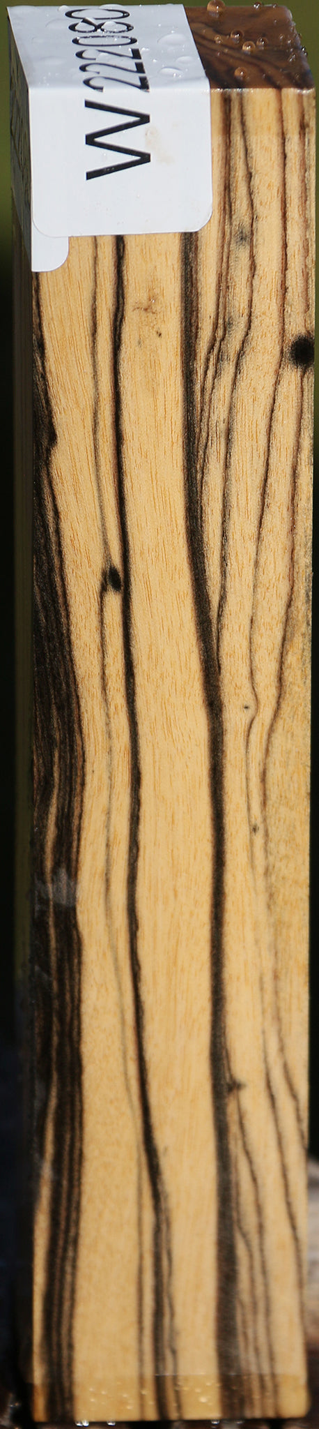 Black & White Ebony Turning Square