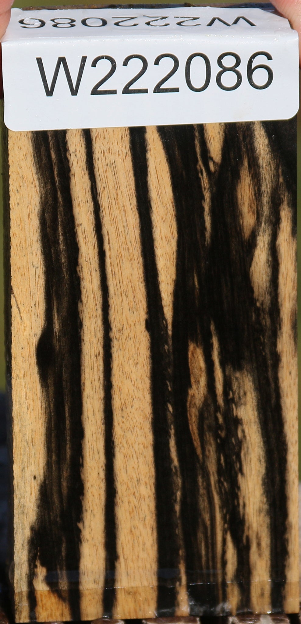 Black & White Ebony Lumber