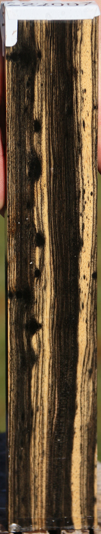 Black & White Ebony Micro Lumber