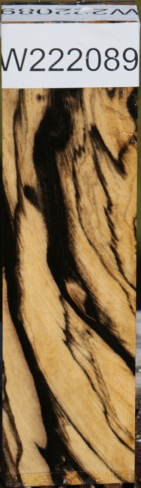 Black & White Ebony Lumber