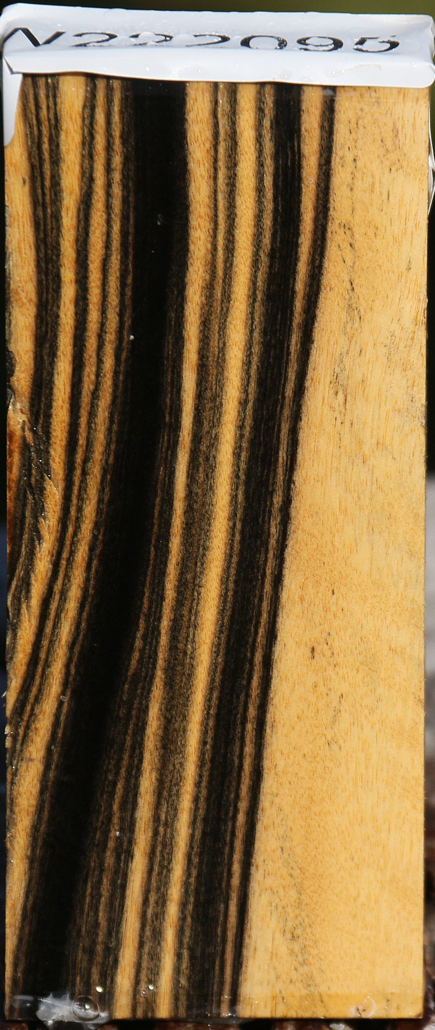 Black & White Ebony Lumber