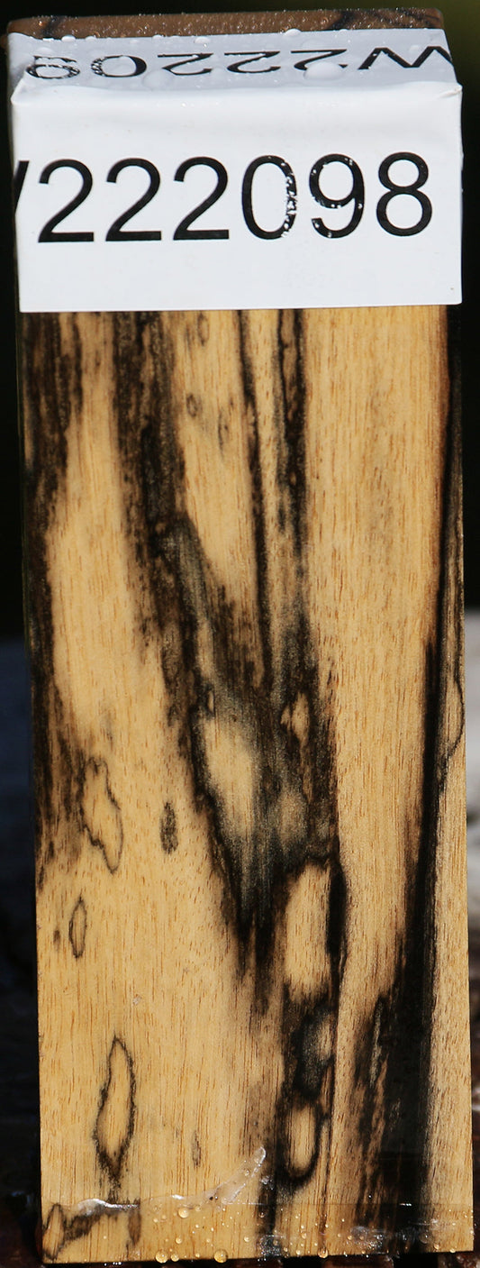 Black & White Ebony Turning Blank