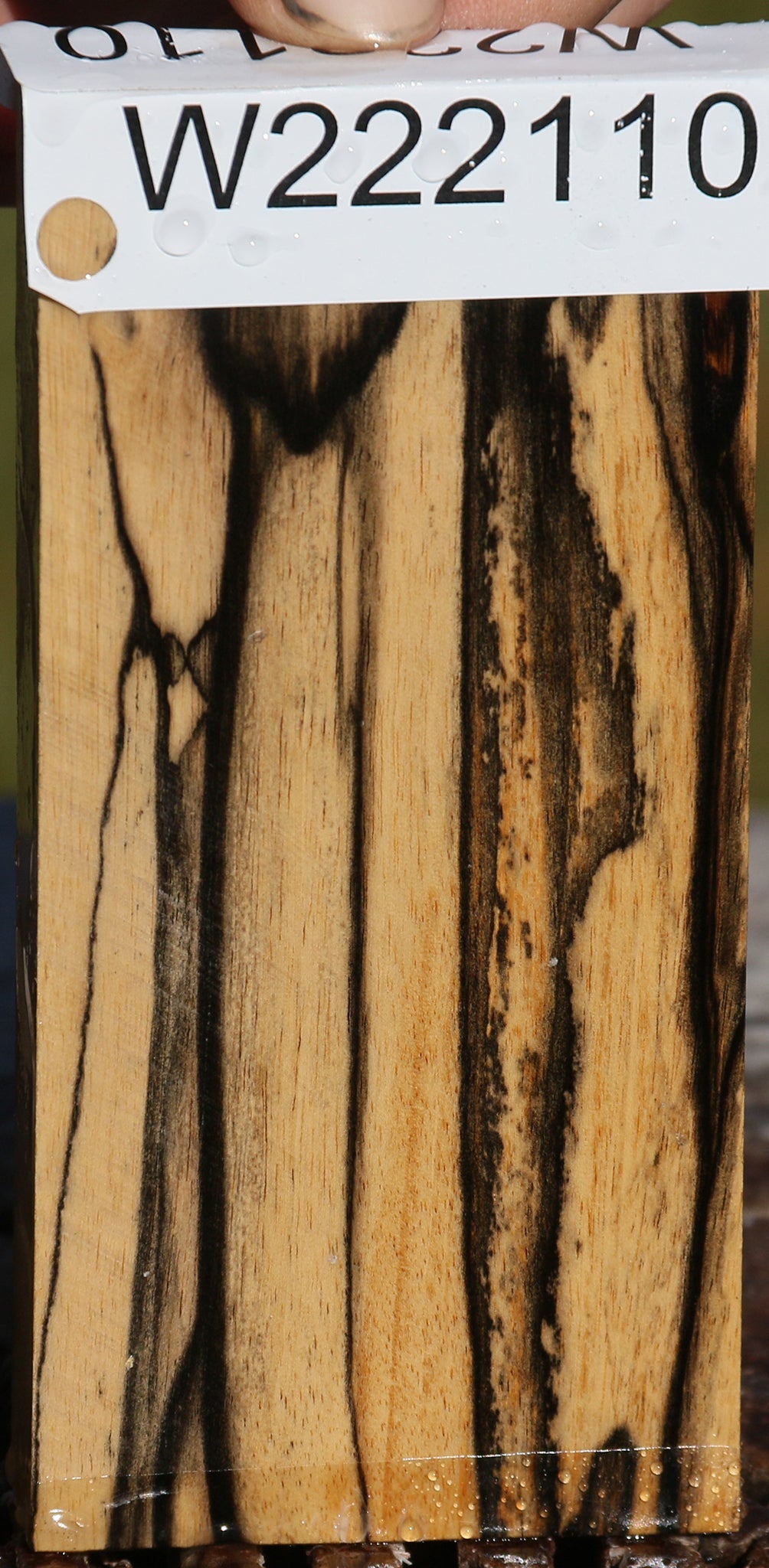 Black & White Ebony Lumber