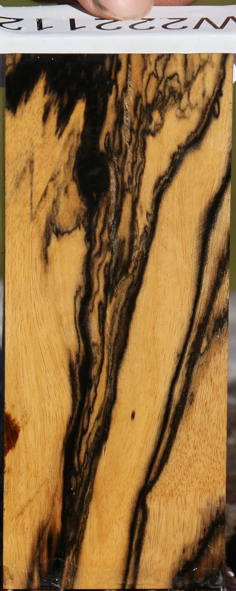 Black & White Ebony Lumber