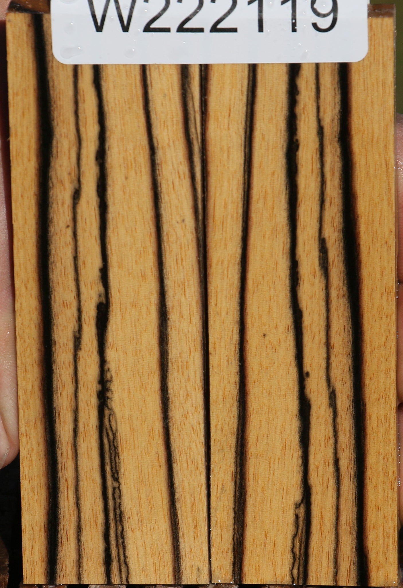 Black & White Ebony Knife Scales