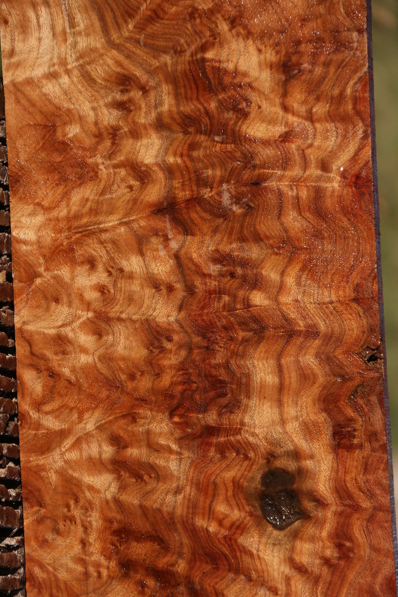 Camphor Burl Lumber