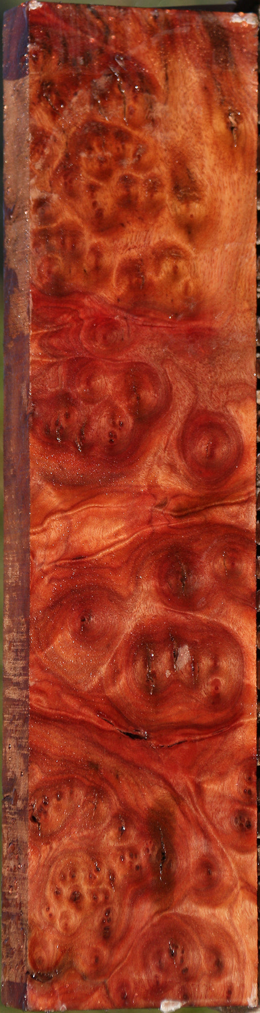 Camphor Burl Lumber