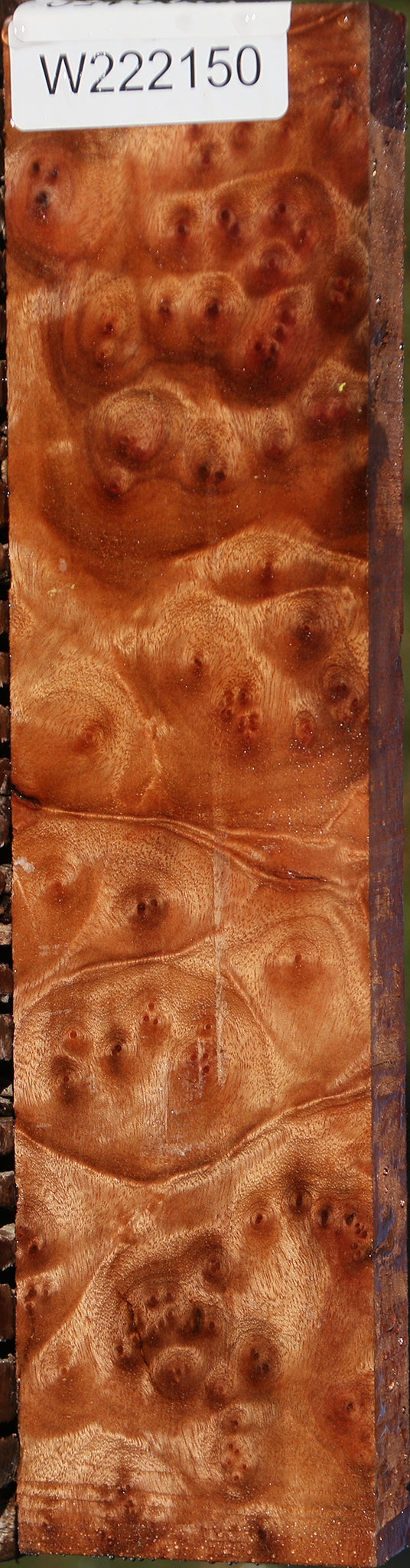 Camphor Burl Lumber