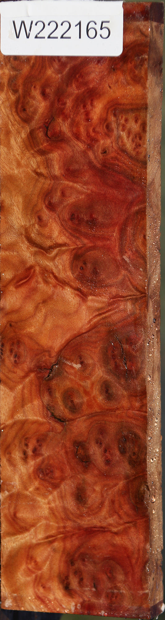 Camphor Burl Lumber