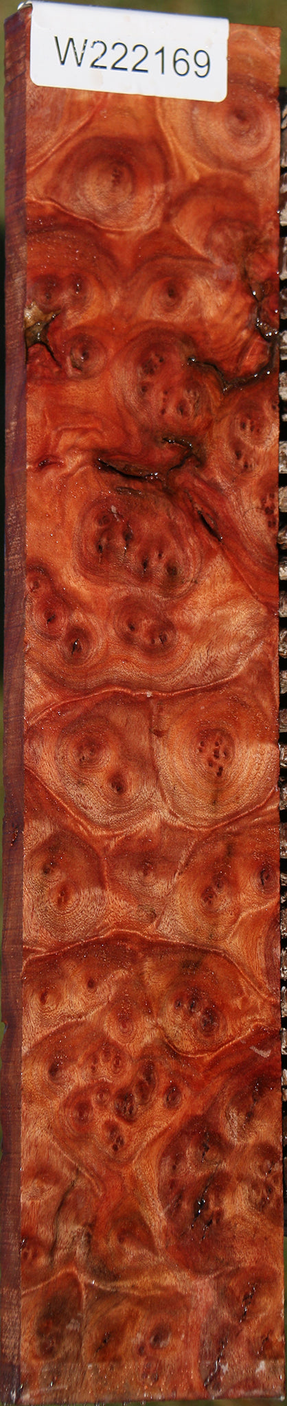 Camphor Burl Lumber