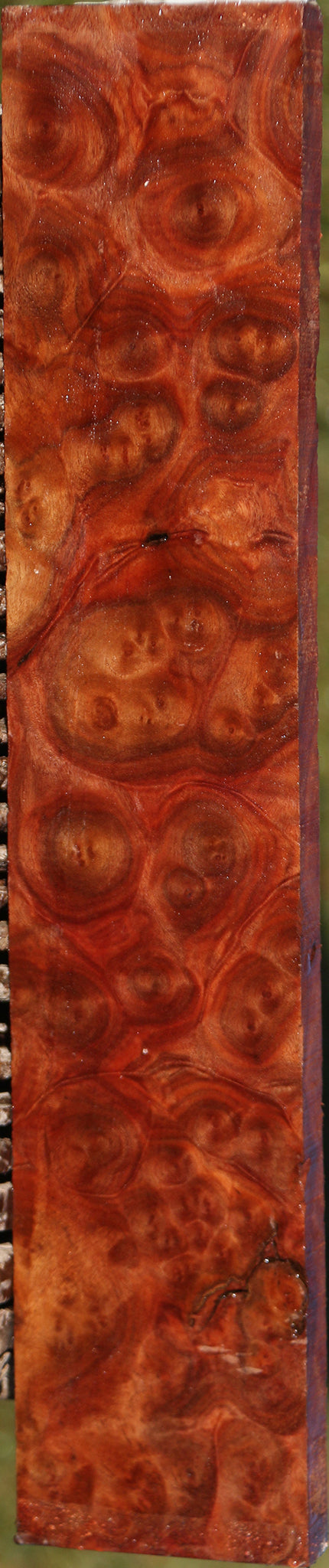 Camphor Burl Lumber