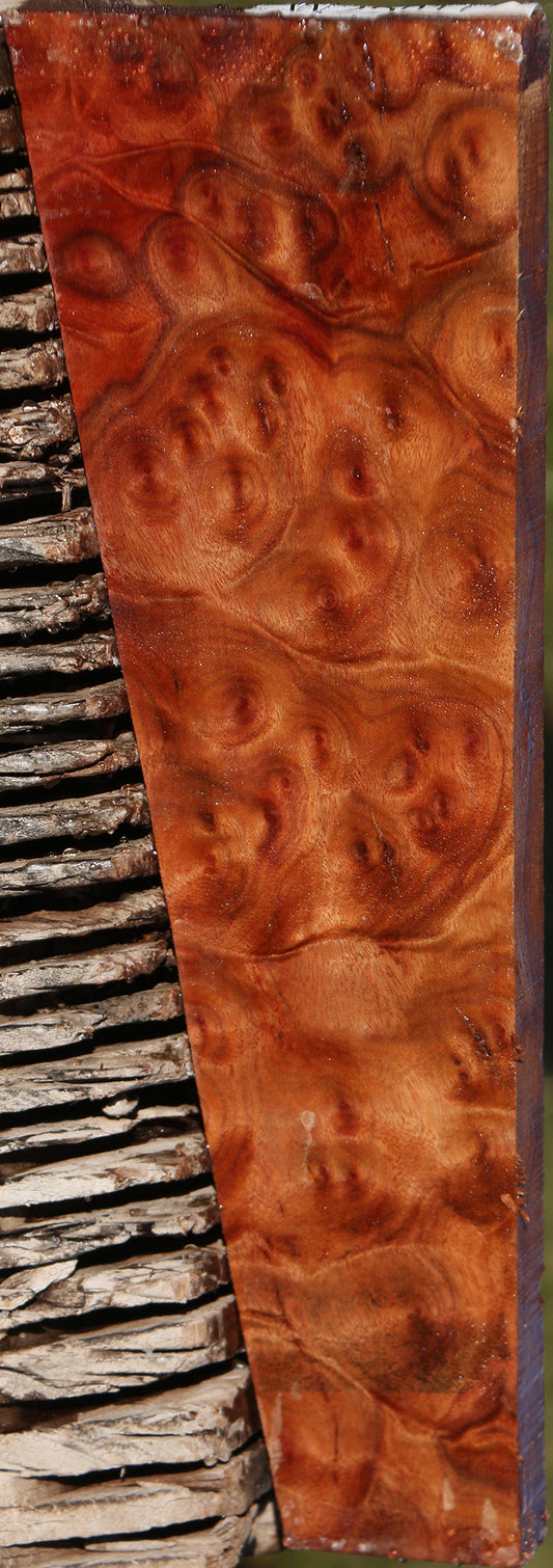 Camphor Burl Lumber