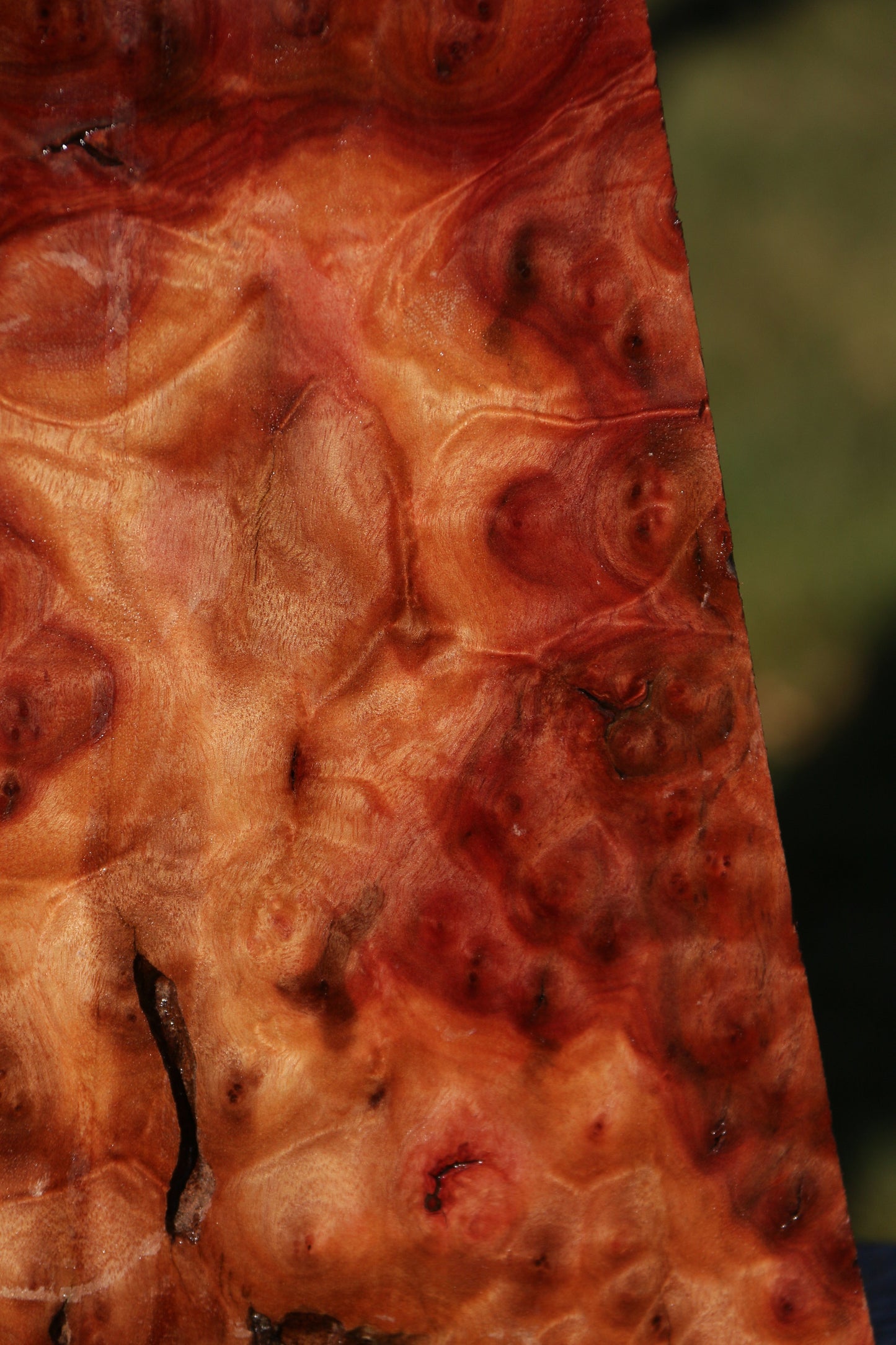 Camphor Burl Live Edge Lumber