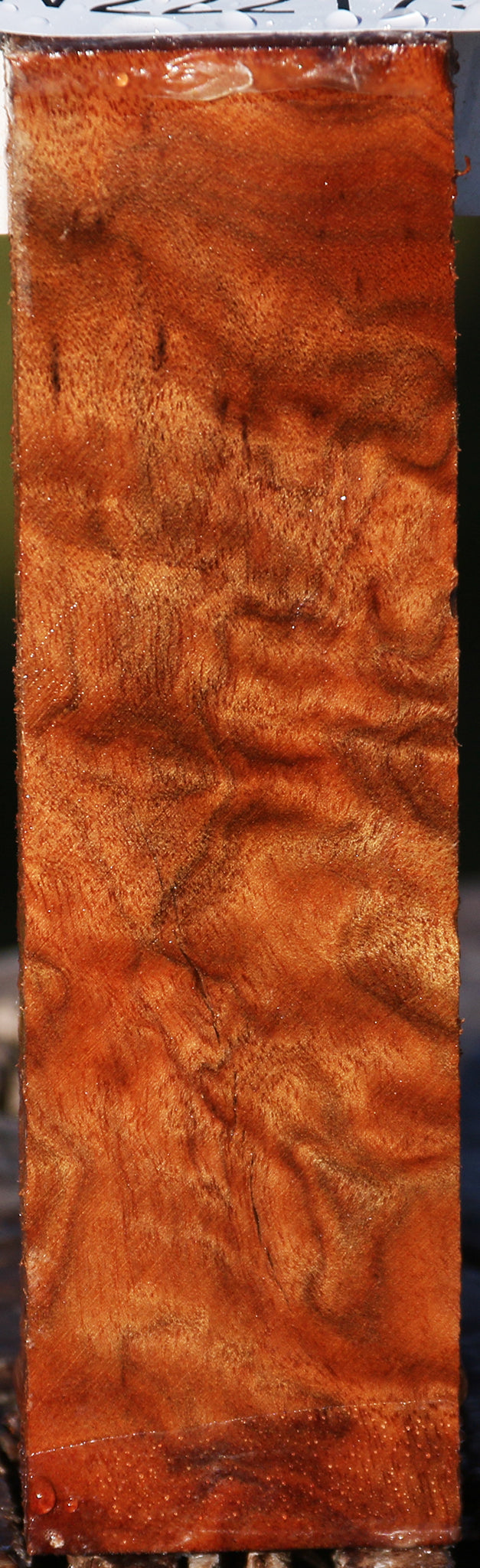 Camphor Burl Lumber – Cook Woods