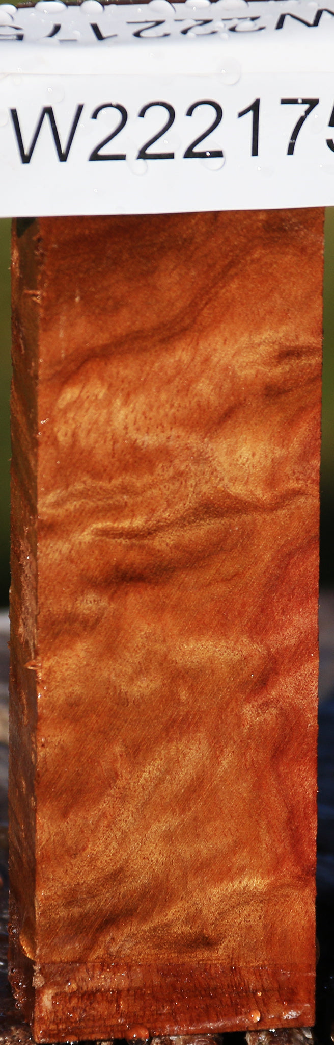 Camphor Burl Lumber