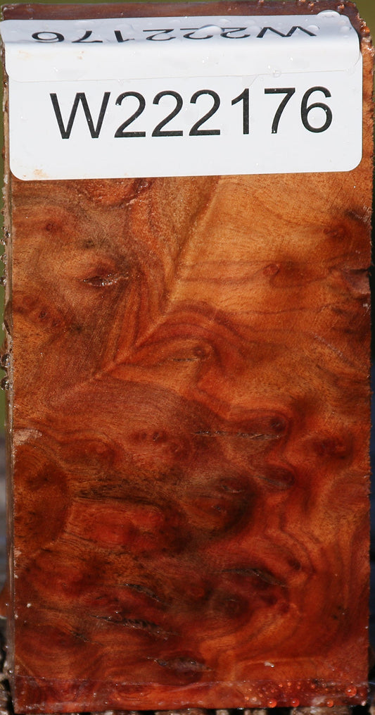 Camphor Burl Lumber