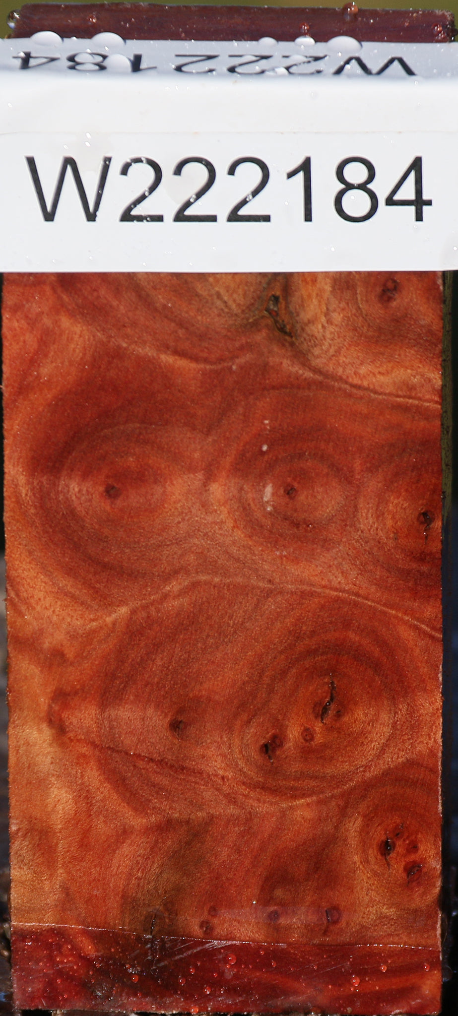 Camphor Burl Lumber