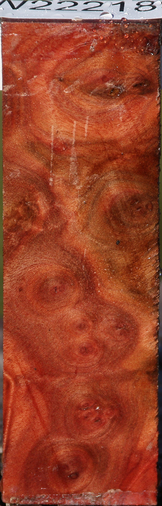 Camphor Burl Lumber