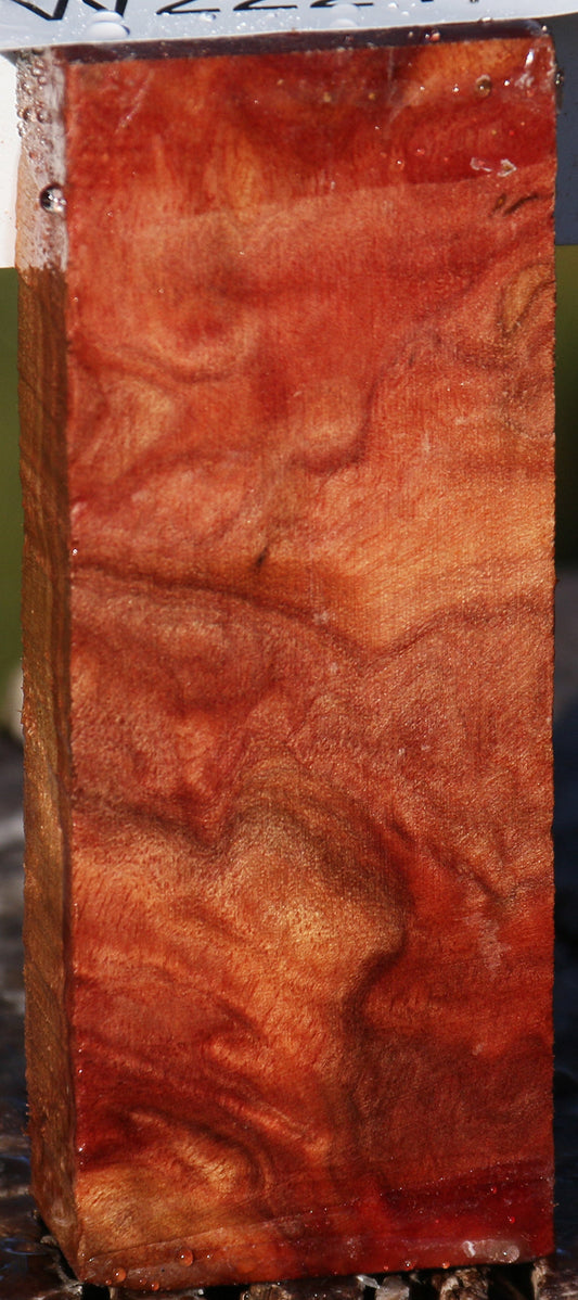 Camphor Burl Lumber