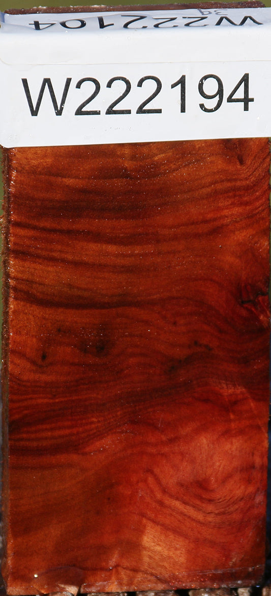 Camphor Burl Lumber