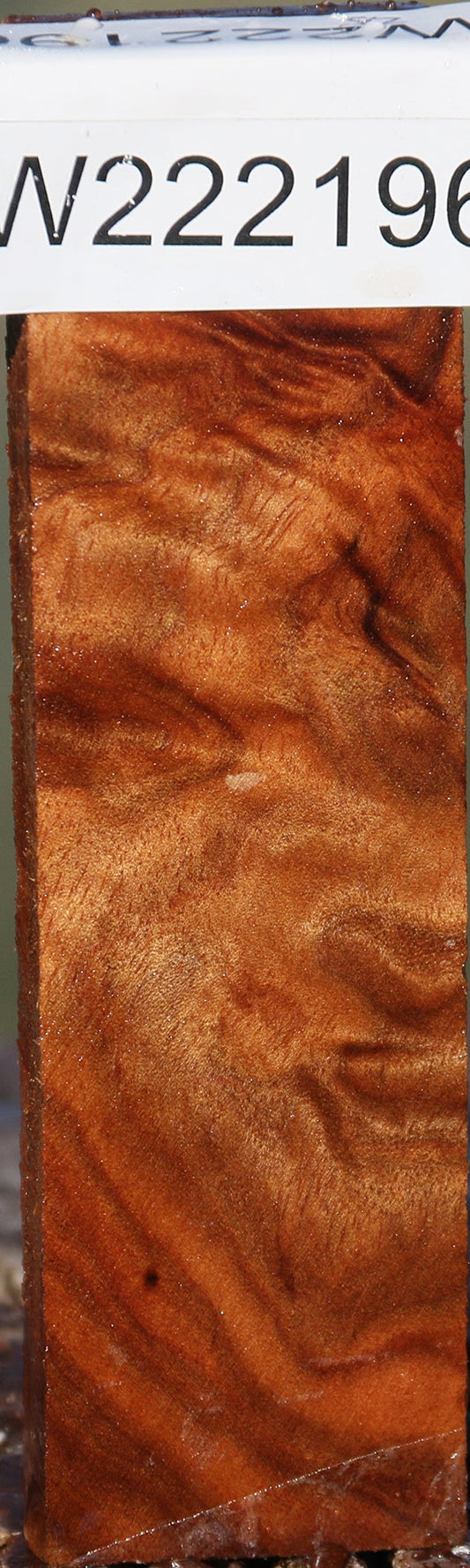 Camphor Burl Lumber