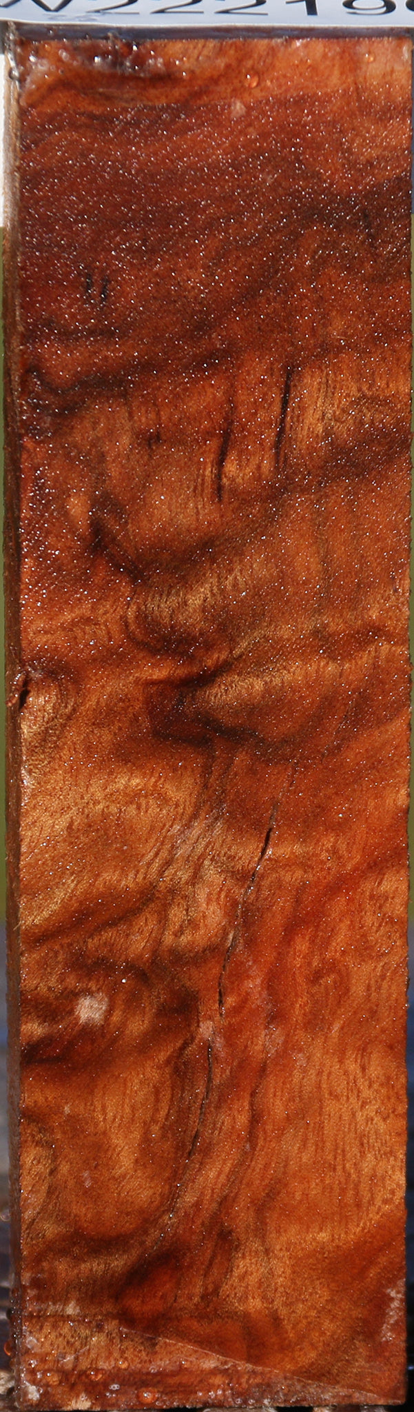 Camphor Burl Lumber