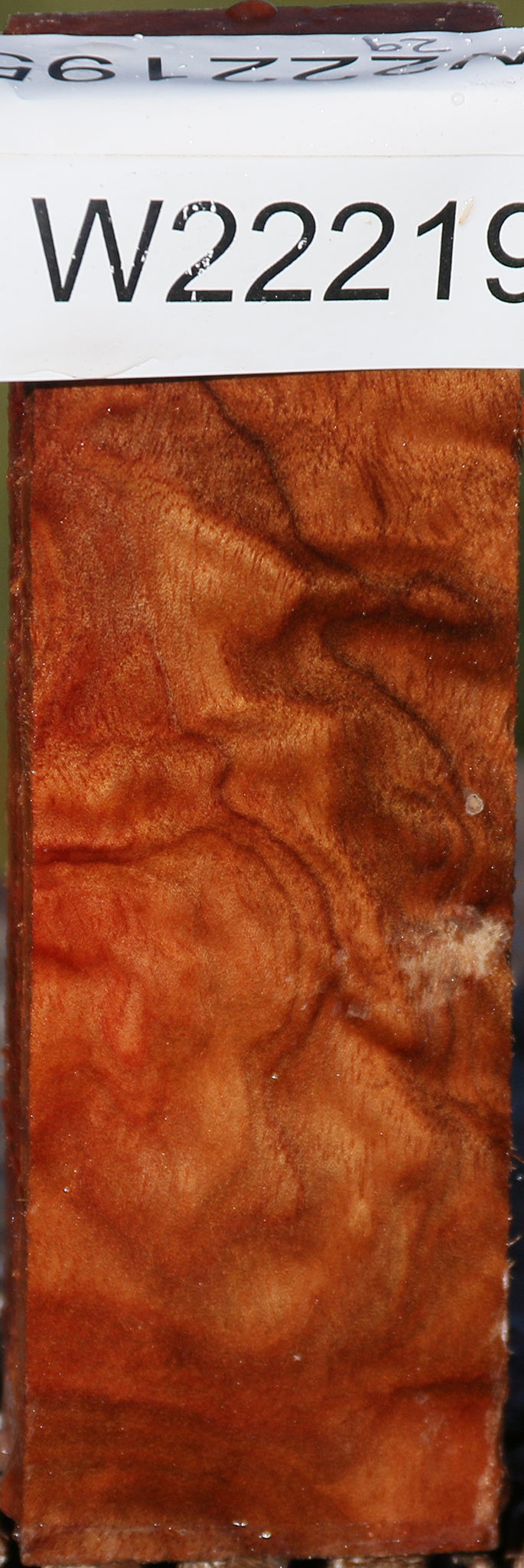 Camphor Burl Lumber