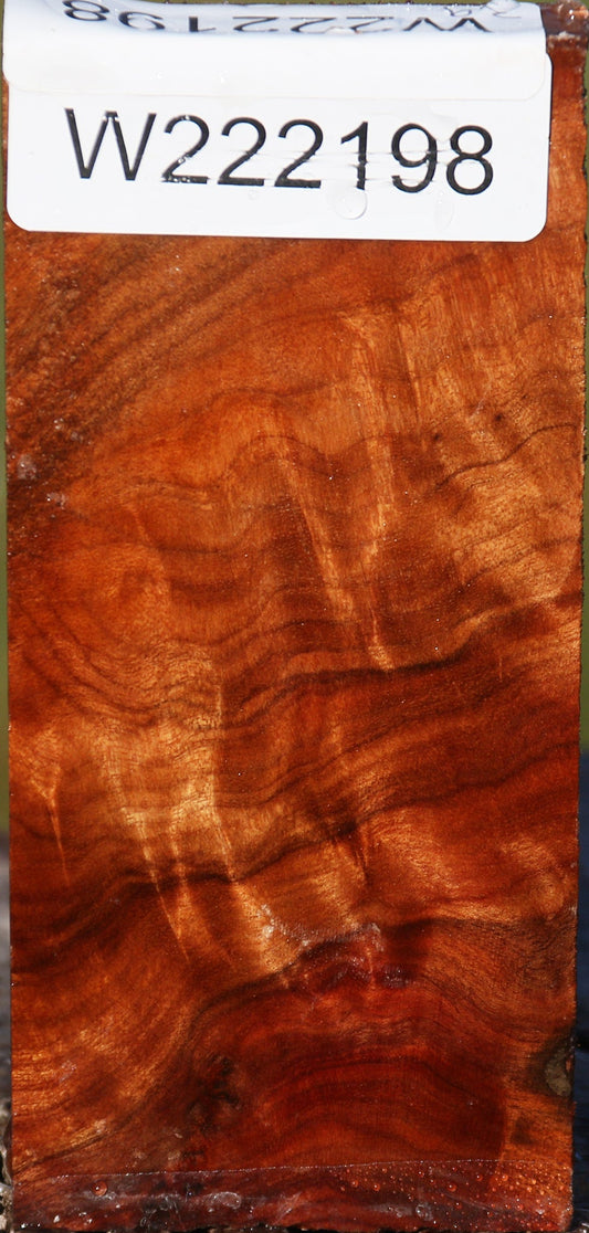 Camphor Burl Lumber