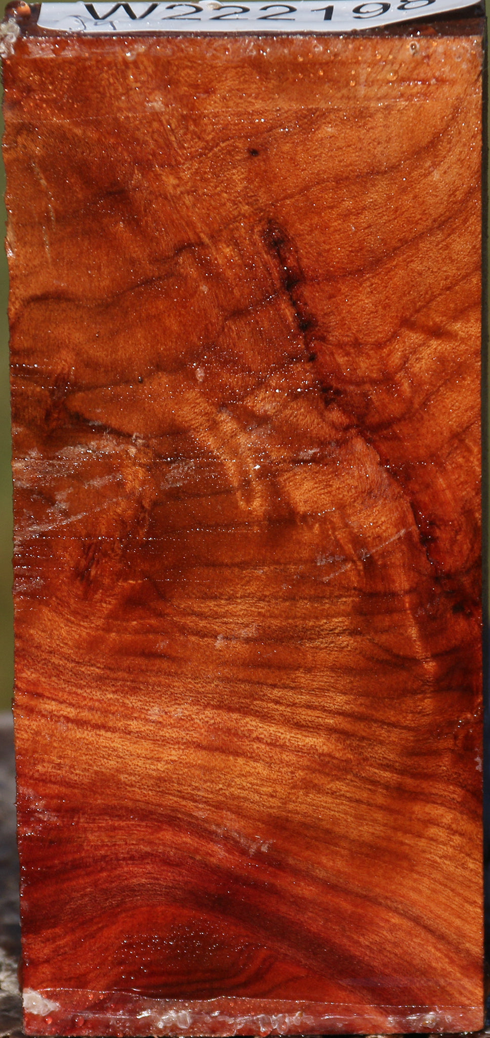 Camphor Burl Lumber