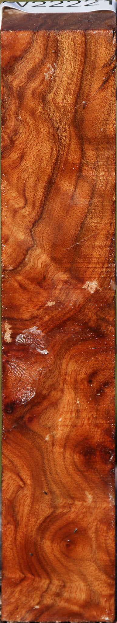 Camphor Burl Turning Square