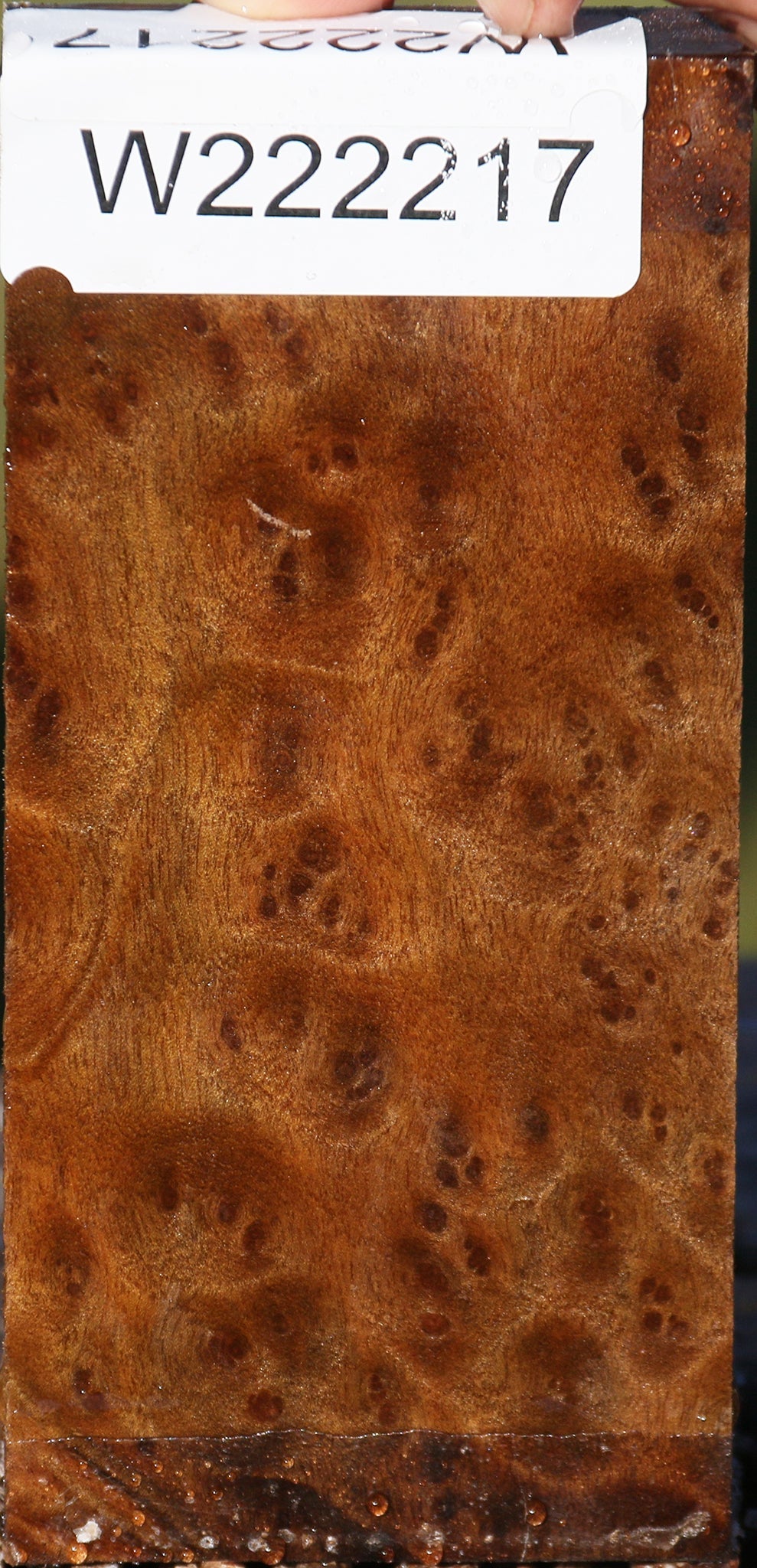 Camphor Burl Lumber