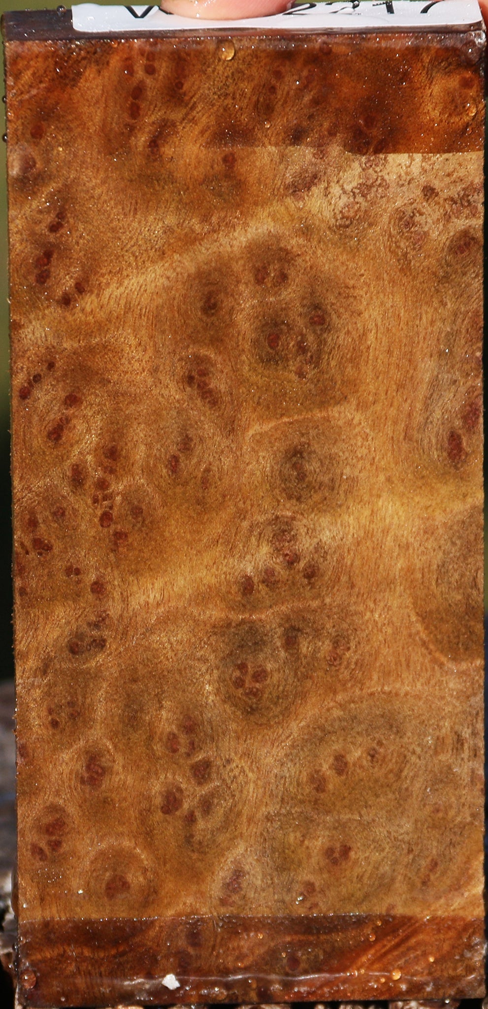 Camphor Burl Lumber