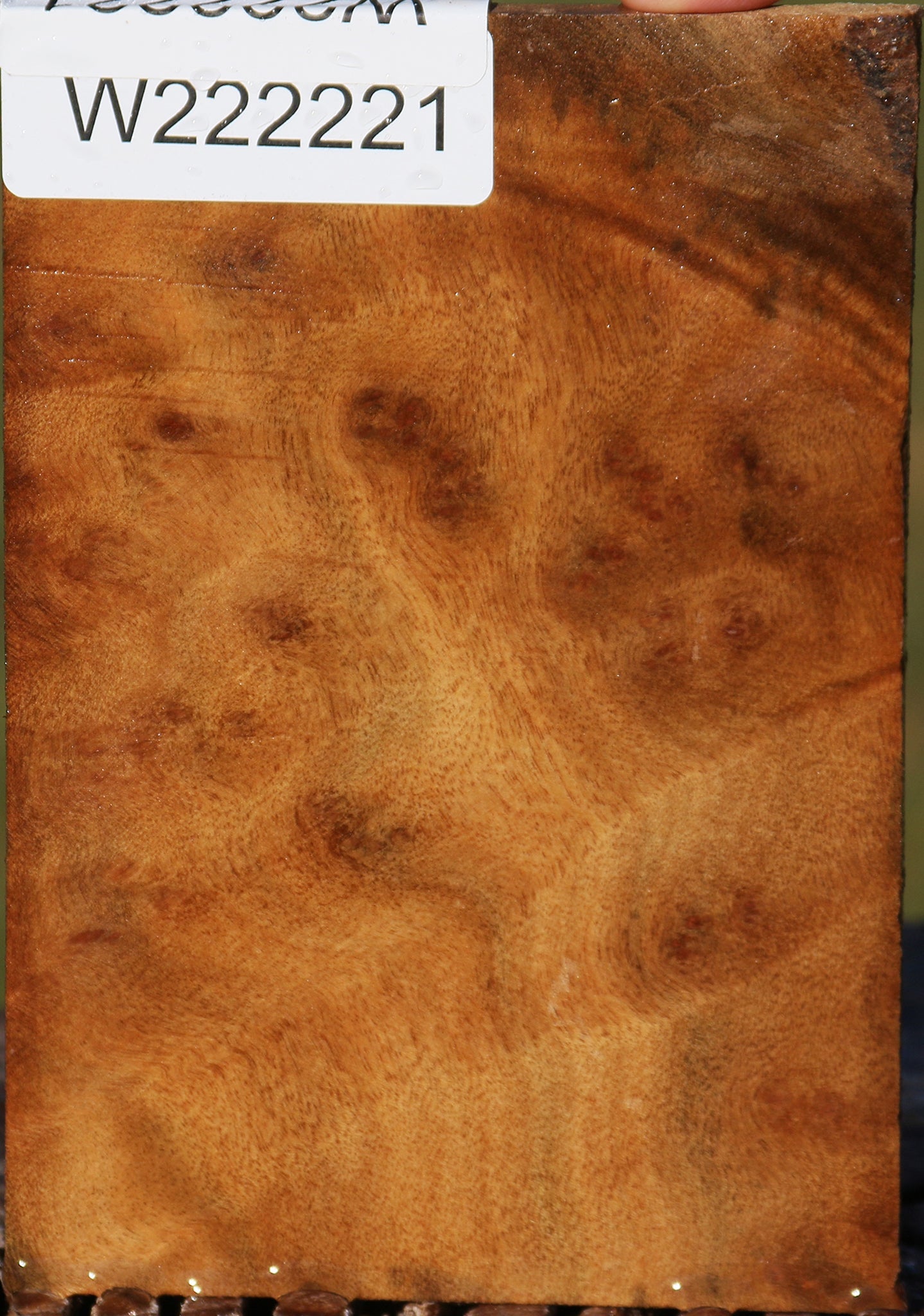 Camphor Burl Micro Lumber