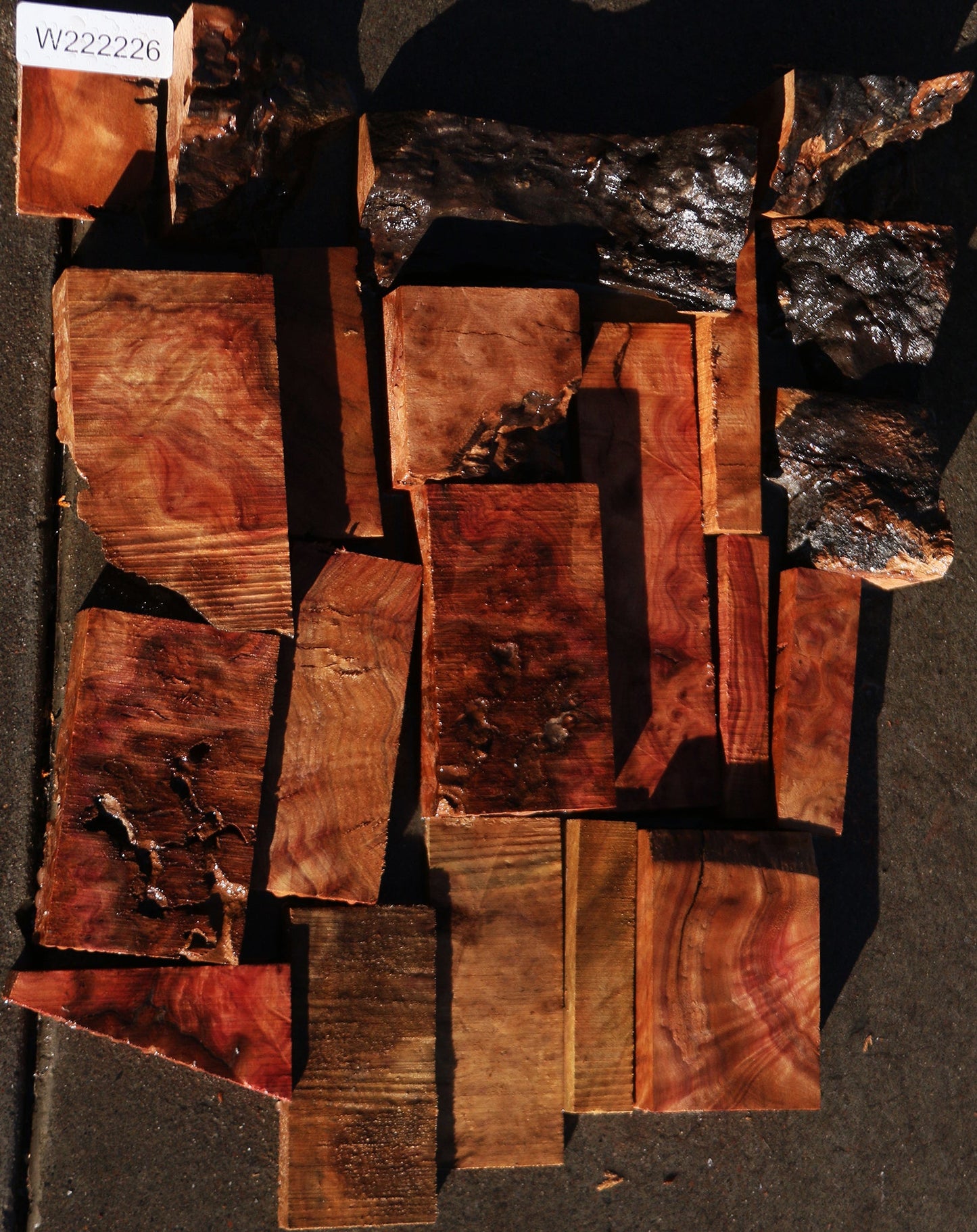 Camphor Burl Lumber Bargain Box