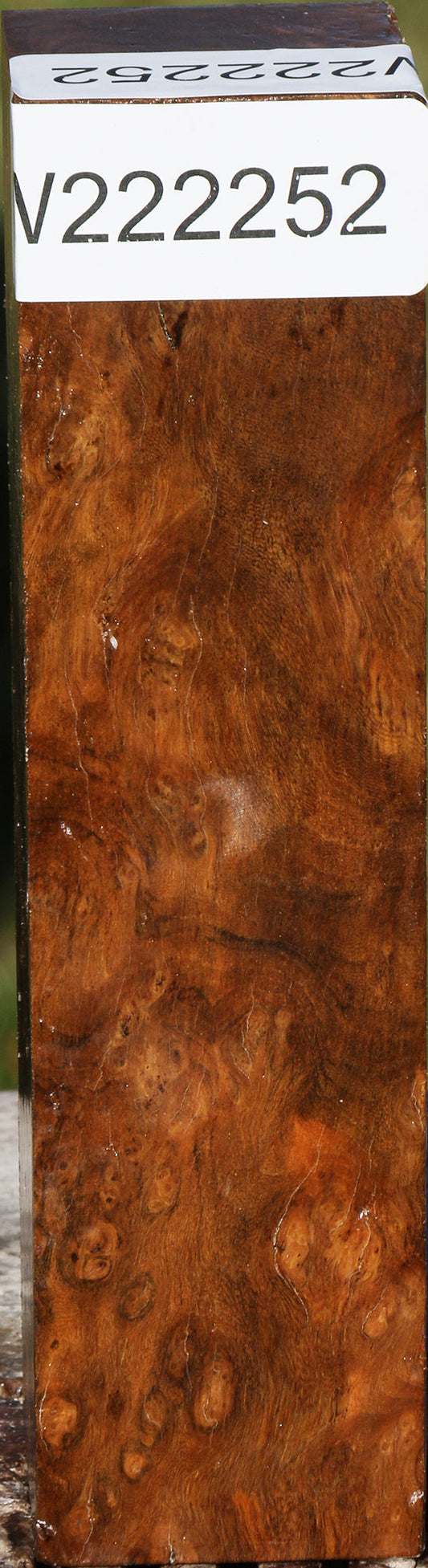 Sindora Burl Turning Square