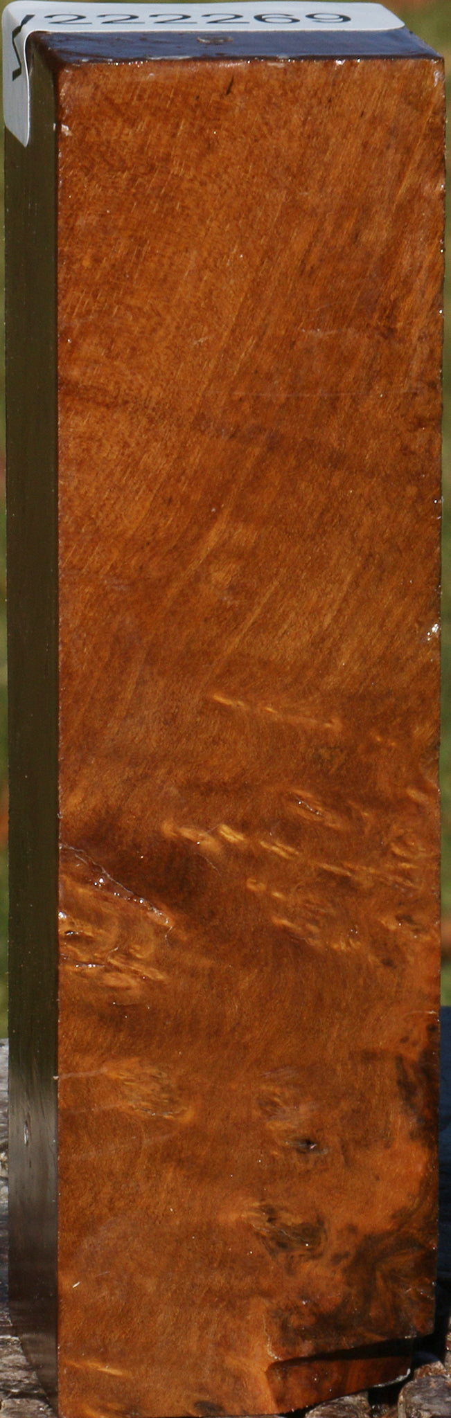 Sindora Burl Turning Square