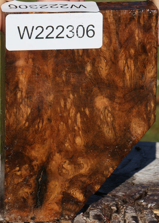 Sindora Burl Lumber