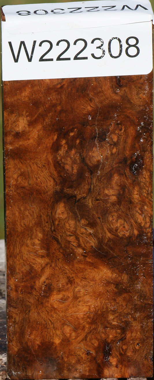 Sindora Burl Lumber