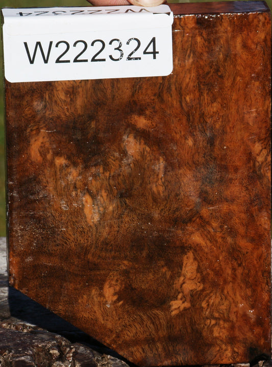 Sindora Burl Lumber