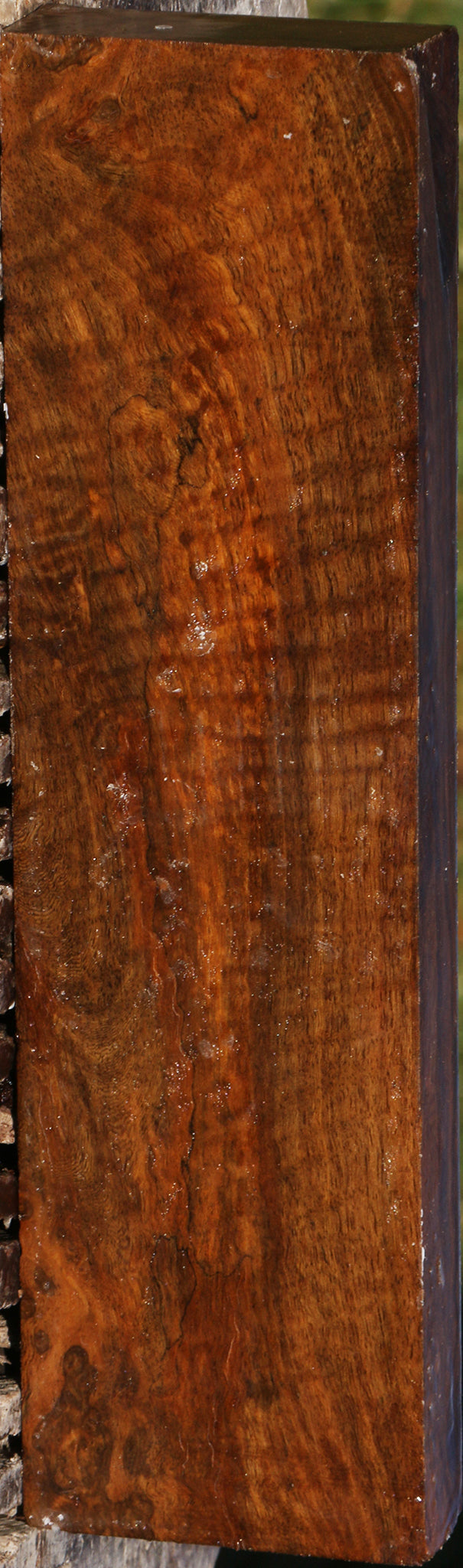 Sindora Burl Lumber