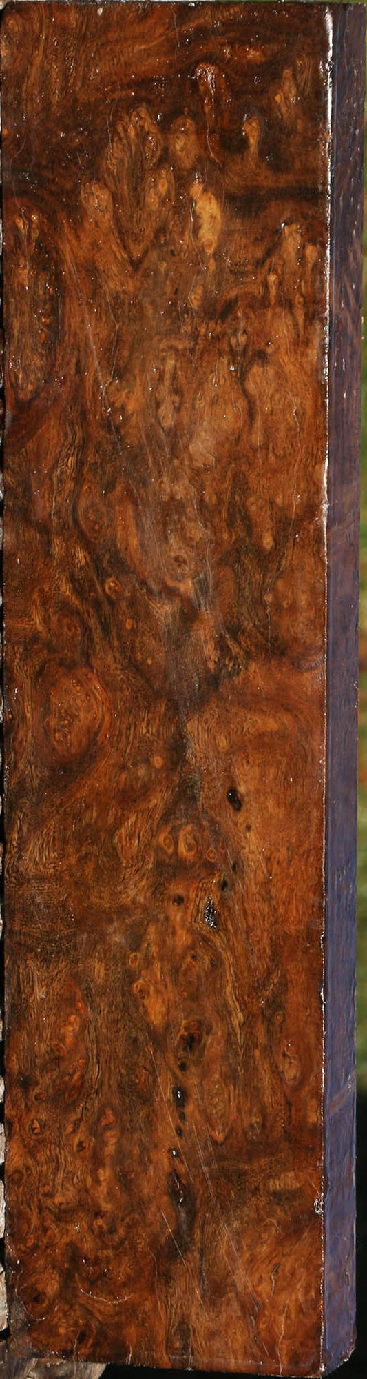 Sindora Burl Lumber