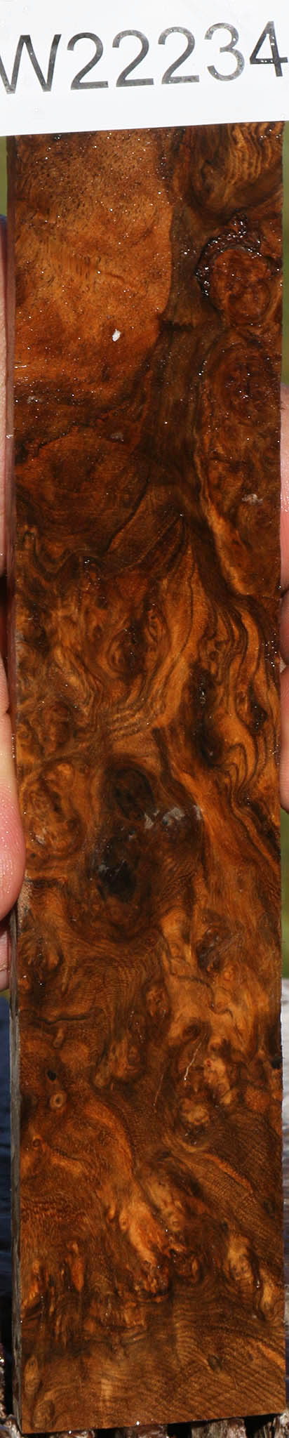 Sindora Burl Micro Lumber